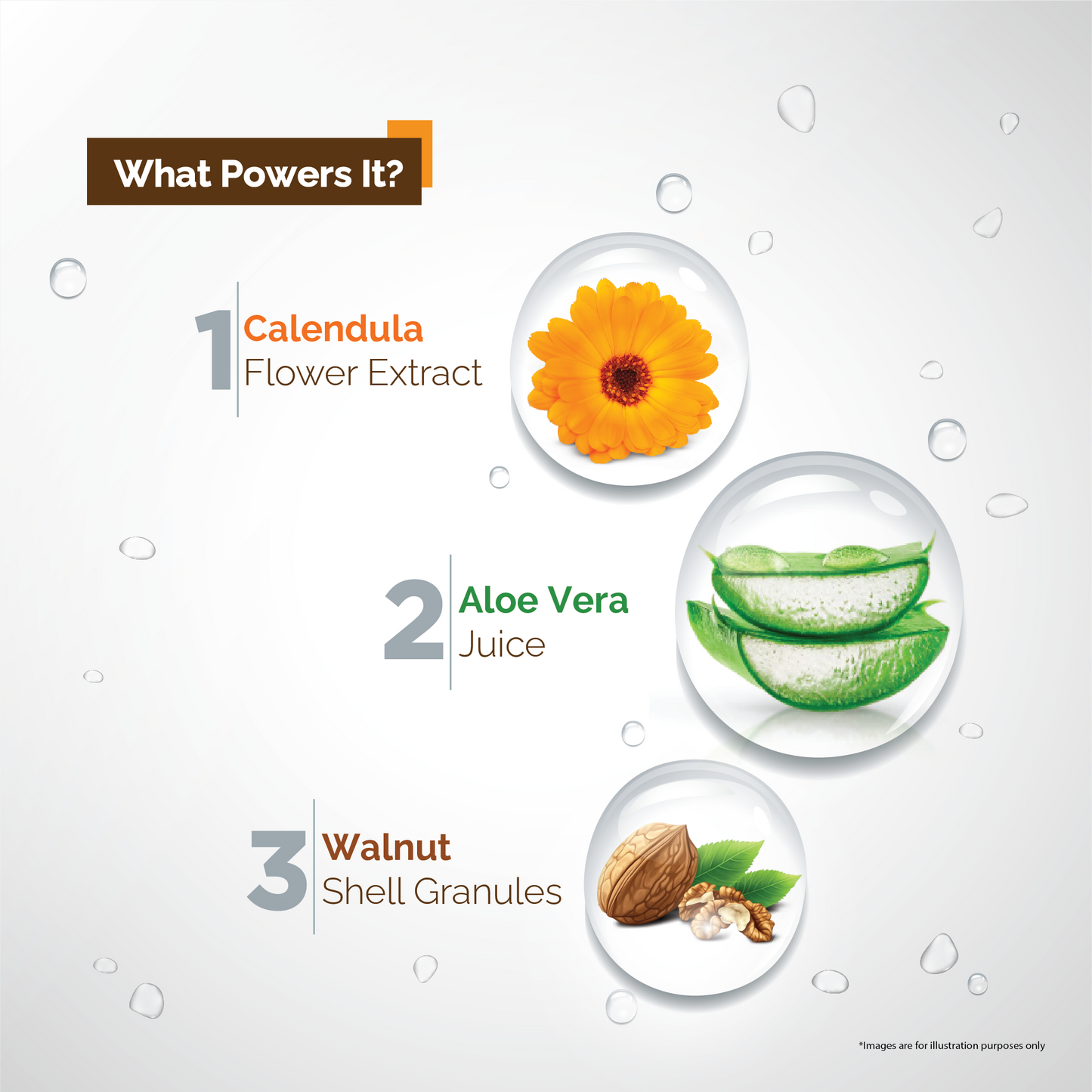 Vineroots Calendula Body Wash with Aloe Vera & Walnut Shell | Gentle Exfoliating & Hydrating Shower Gel for Smooth & Glowing Skin | Sulphate & Paraben Free | Unisex | 250ml