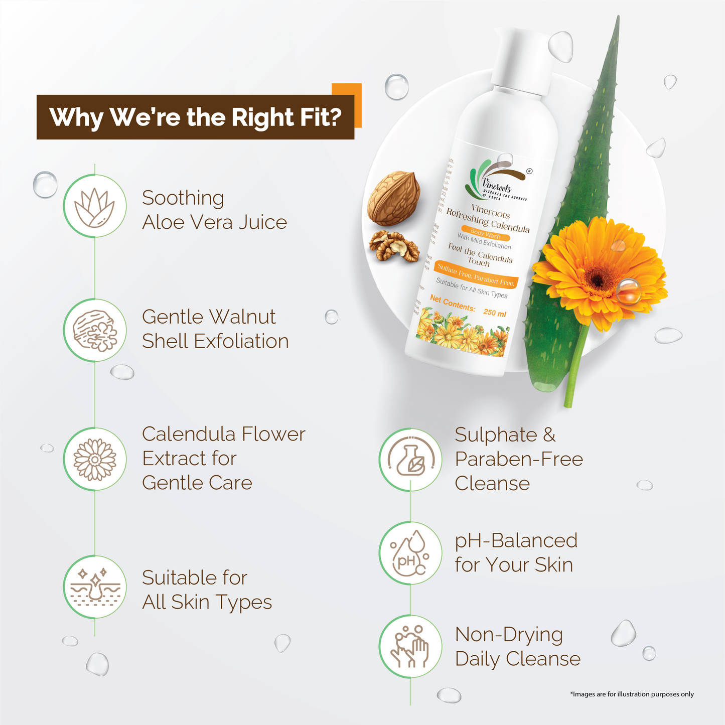 Vineroots Calendula Body Wash with Aloe Vera & Walnut Shell | Gentle Exfoliating & Hydrating Shower Gel for Smooth & Glowing Skin | Sulphate & Paraben Free | Unisex | 250ml