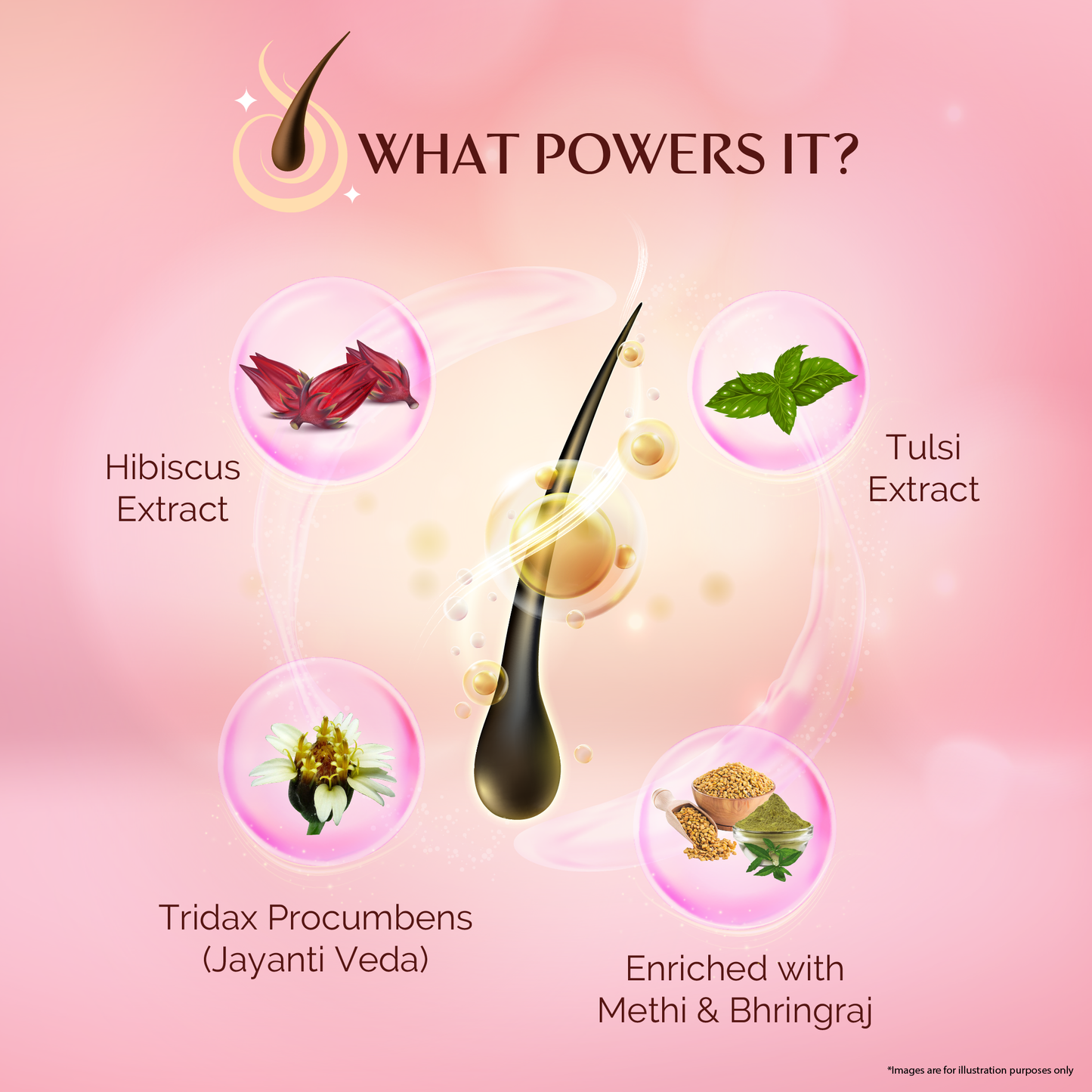 Vineroots Hibiscus, Basil & Tridax Shampoo | Sulfate & Paraben -Free | For Mild Dandruff Care, Stronger Roots & Healthy Scalp | 280ml | Get a Free Neem Comb