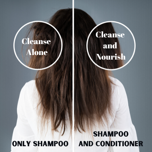 Vineroots Biotin Shampoo & Conditioner Combo - Plant Based | Sesbania & Bamboo for Strength, Volume & Damage Repair | Sulfate & Paraben-Free | For Women & Men , All Hair Types | 280ml + 200ml |Get Free Sunscreen Body Lotion (190ml)