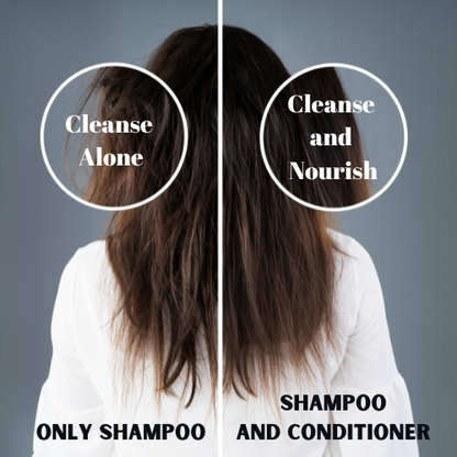 Vineroots Biotin Shampoo & Conditioner Combo - Plant Based | Sesbania & Bamboo for Strength, Volume & Damage Repair | Sulfate & Paraben-Free | For Women & Men , All Hair Types | 280ml + 200ml |Get Free Sunscreen Body Lotion (190ml)