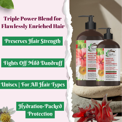 Vineroots Hibiscus, Basil &Tridax Shampoo & Conditioner Combo | For Mild Dandruff, Strength & Softness | Sulphate & Paraben-Free | For Women & Men | All Hair Types | 280ml + 200ml | Free Sunscreen Body Lotion 190 ml
